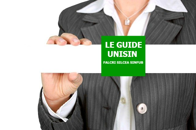 Guida UNISIN “Neo assunti”