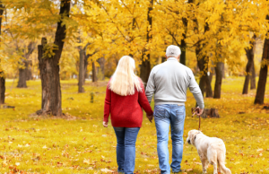 Memorandum per gli esodati (accordo 23/10/2024)