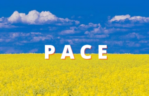 Stop war : solidarietà ai colleghi di Pravex Bank