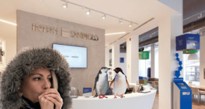 Torna il grande freddo nelle Filiali