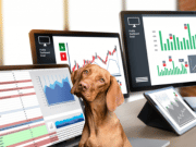 Trimestrale Direzioni Centrali Torino e Moncalieri. Qualità dei Servizi = Benessere Lavorativo