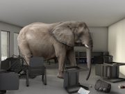 The Elephant in the Room